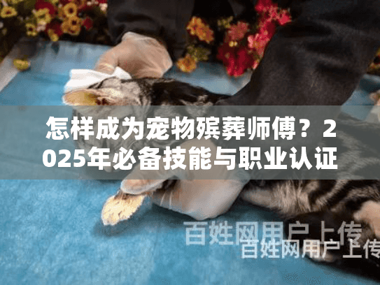 怎样成为宠物殡葬师傅？2025年必备技能与职业认证全解析