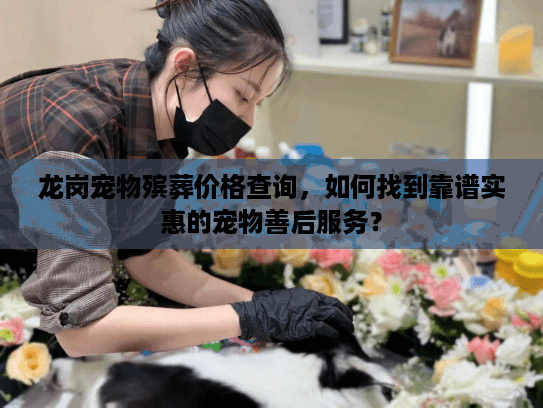 龙岗宠物殡葬价格查询，如何找到靠谱实惠的宠物善后服务？
