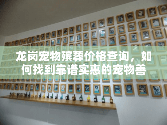 龙岗宠物殡葬价格查询，如何找到靠谱实惠的宠物善后服务？