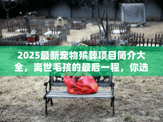 2025最新宠物殡葬项目简介大全，离世毛孩的最后一程，你选对服务了吗？