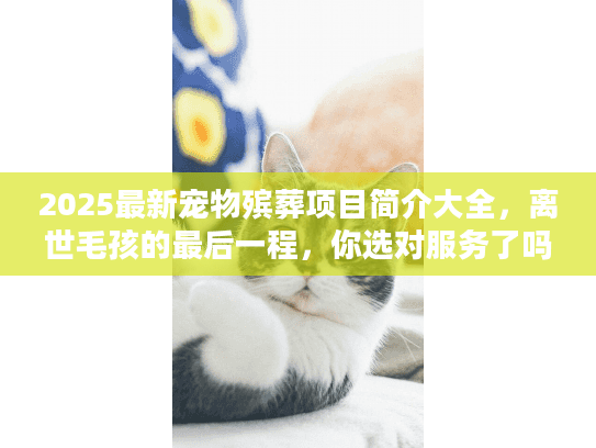2025最新宠物殡葬项目简介大全，离世毛孩的最后一程，你选对服务了吗？