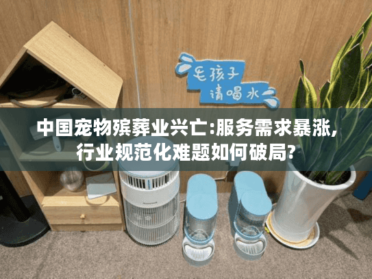 中国宠物殡葬业兴亡:服务需求暴涨,行业规范化难题如何破局?