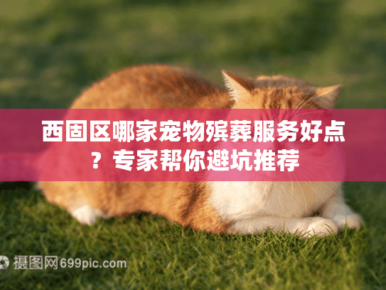 西固区哪家宠物殡葬服务好点？专家帮你避坑推荐