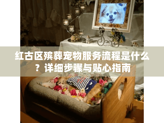 红古区殡葬宠物服务流程是什么？详细步骤与贴心指南