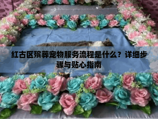 红古区殡葬宠物服务流程是什么？详细步骤与贴心指南