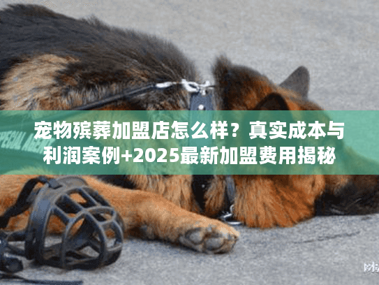 宠物殡葬加盟店怎么样？真实成本与利润案例+2025最新加盟费用揭秘