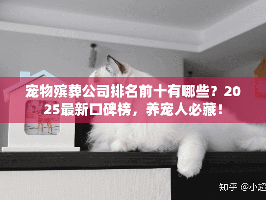 宠物殡葬公司排名前十有哪些？2025最新口碑榜，养宠人必藏！