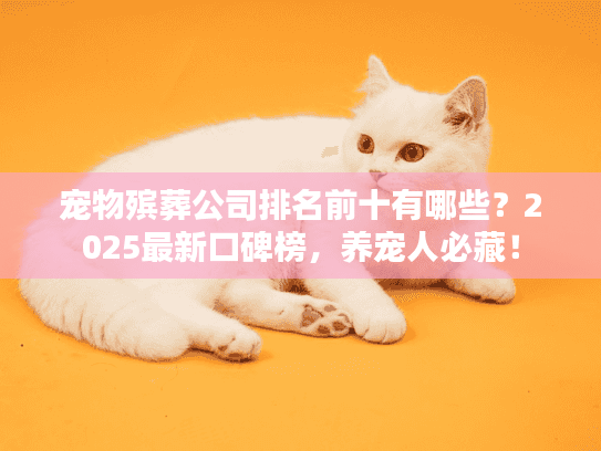 宠物殡葬公司排名前十有哪些？2025最新口碑榜，养宠人必藏！