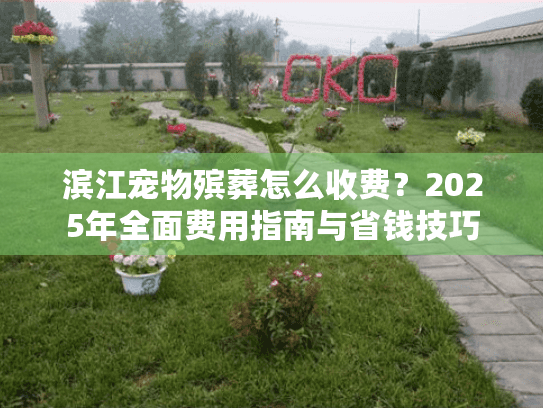 滨江宠物殡葬怎么收费？2025年全面费用指南与省钱技巧