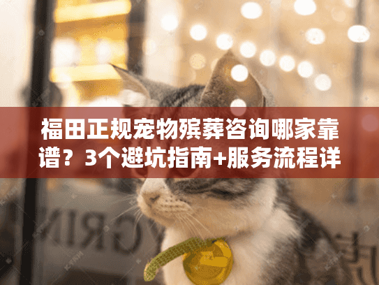 福田正规宠物殡葬咨询哪家靠谱？3个避坑指南+服务流程详解
