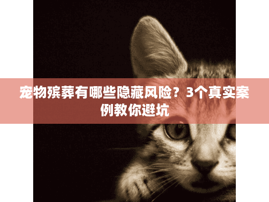 宠物殡葬有哪些隐藏风险？3个真实案例教你避坑