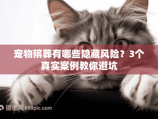 宠物殡葬有哪些隐藏风险？3个真实案例教你避坑