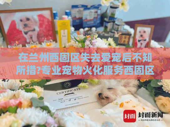 在兰州西固区失去爱宠后不知所措?专业宠物火化服务西固区全面指南