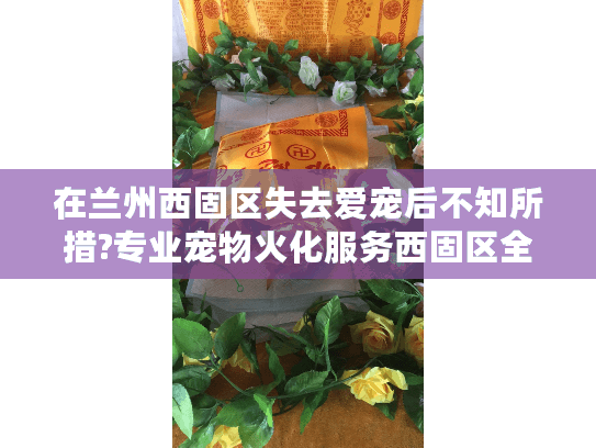 在兰州西固区失去爱宠后不知所措?专业宠物火化服务西固区全面指南