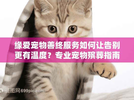 缘爱宠物善终服务如何让告别更有温度？专业宠物殡葬指南