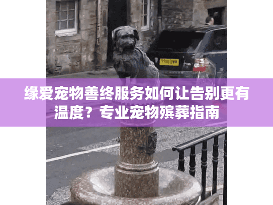 缘爱宠物善终服务如何让告别更有温度？专业宠物殡葬指南