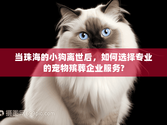 当珠海的小狗离世后，如何选择专业的宠物殡葬企业服务?