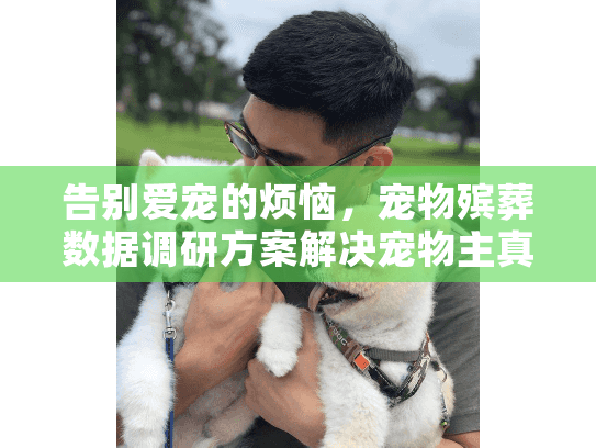 告别爱宠的烦恼，宠物殡葬数据调研方案解决宠物主真实需求