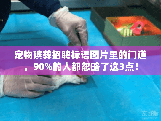 宠物殡葬招聘标语图片里的门道，90%的人都忽略了这3点！