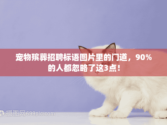 宠物殡葬招聘标语图片里的门道，90%的人都忽略了这3点！