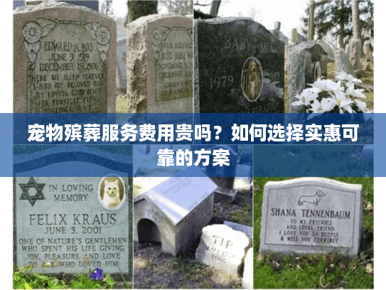 宠物殡葬服务费用贵吗？如何选择实惠可靠的方案