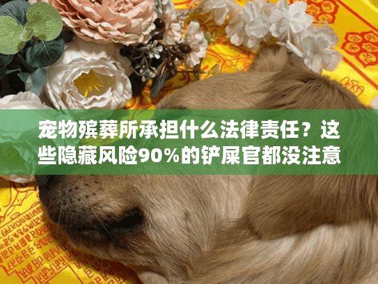 宠物殡葬所承担什么法律责任？这些隐藏风险90%的铲屎官都没注意到