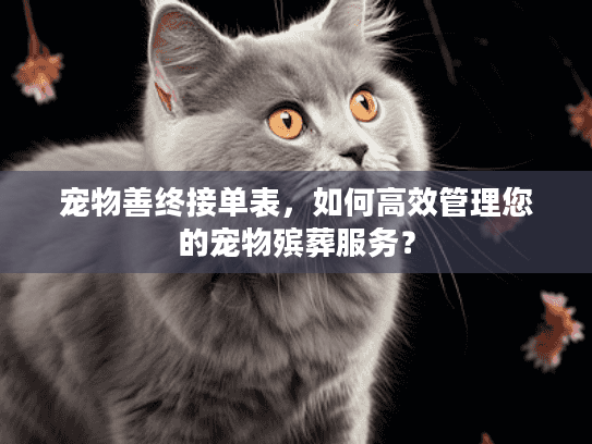 宠物善终接单表，如何高效管理您的宠物殡葬服务？