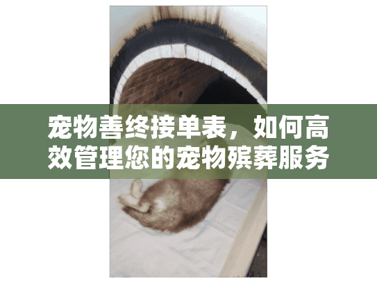 宠物善终接单表，如何高效管理您的宠物殡葬服务？