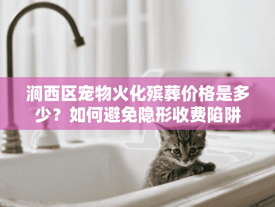 涧西区宠物火化殡葬价格是多少？如何避免隐形收费陷阱