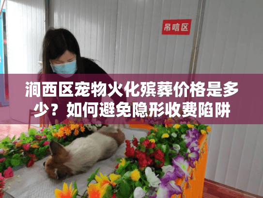 涧西区宠物火化殡葬价格是多少？如何避免隐形收费陷阱