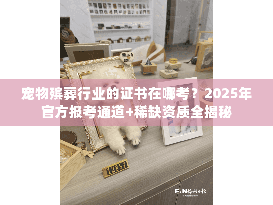 宠物殡葬行业的证书在哪考？2025年官方报考通道+稀缺资质全揭秘