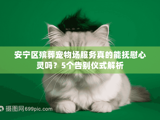 安宁区殡葬宠物场服务真的能抚慰心灵吗？5个告别仪式解析