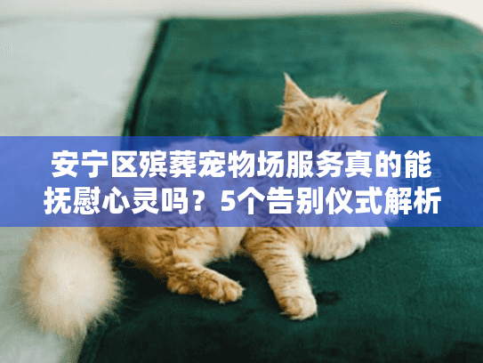安宁区殡葬宠物场服务真的能抚慰心灵吗？5个告别仪式解析