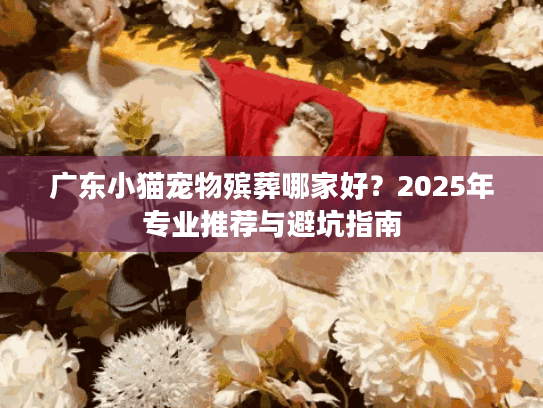 广东小猫宠物殡葬哪家好？2025年专业推荐与避坑指南