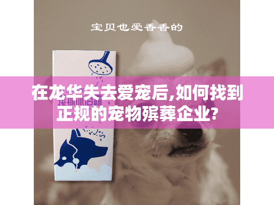 在龙华失去爱宠后,如何找到正规的宠物殡葬企业?