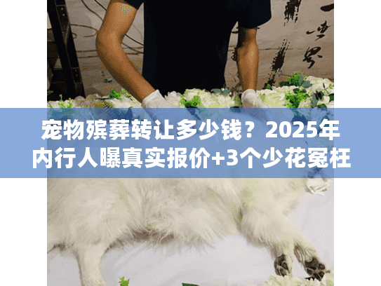 宠物殡葬转让多少钱?2025年内行人曝真实报价+3个少花冤枉钱的秘密 宠物殡葬转让多少钱?2025年内行人曝真实报价+3个少花冤枉钱的秘密