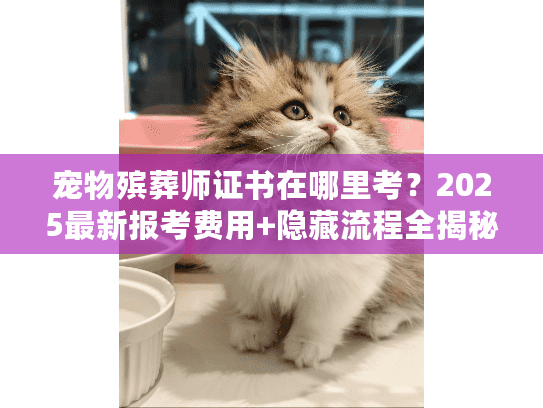 宠物殡葬师证书在哪里考？2025最新报考费用+隐藏流程全揭秘