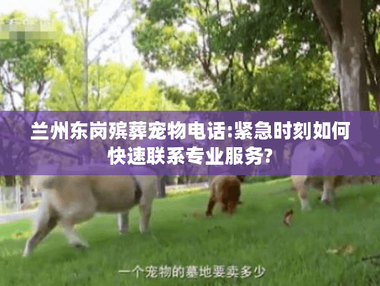 兰州东岗殡葬宠物电话:紧急时刻如何快速联系专业服务?
