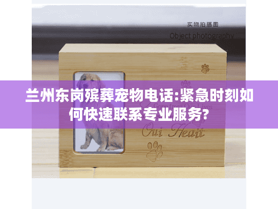兰州东岗殡葬宠物电话:紧急时刻如何快速联系专业服务?