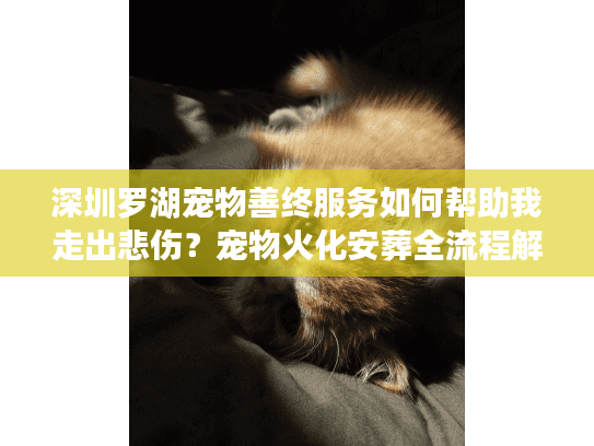 深圳罗湖宠物善终服务如何帮助我走出悲伤？宠物火化安葬全流程解析
