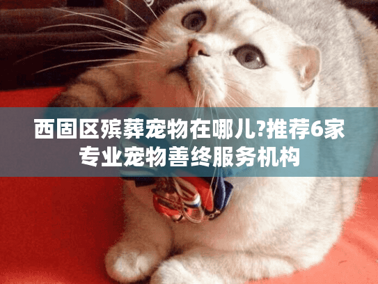 西固区殡葬宠物在哪儿?推荐6家专业宠物善终服务机构