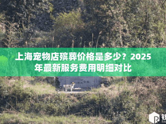 上海宠物店殡葬价格是多少？2025年最新服务费用明细对比