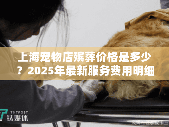 上海宠物店殡葬价格是多少？2025年最新服务费用明细对比