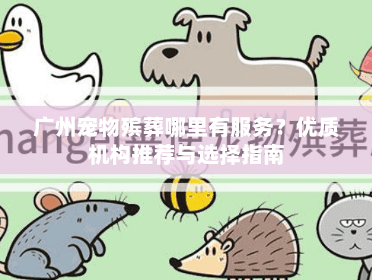 广州宠物殡葬哪里有服务？优质机构推荐与选择指南