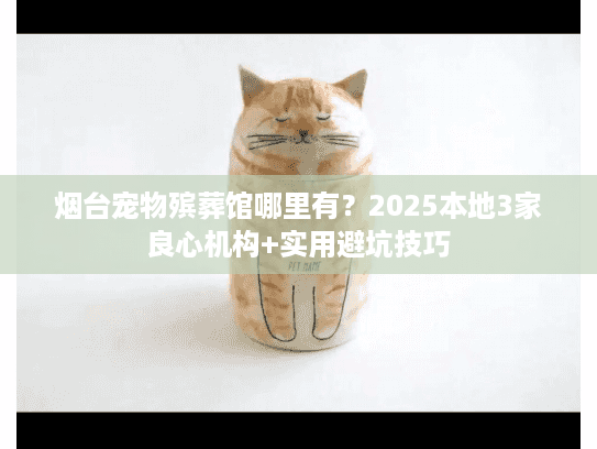 2025本地3家良心机构图片