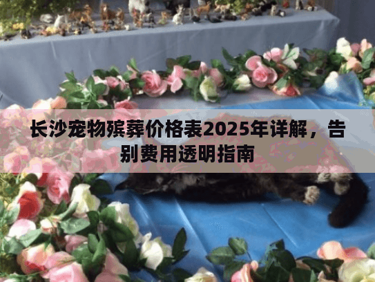 长沙宠物殡葬价格表2025年详解，告别费用透明指南