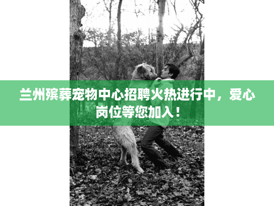 兰州殡葬宠物中心招聘火热进行中，爱心岗位等您加入！