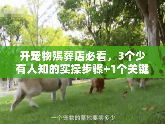 开宠物殡葬店必看,3个少有人知的实操步骤+1个关键资质,新手也能避坑? 开宠物殡葬店必看,3个少有人知的实操步骤+1个关键资质,新手也能避坑?