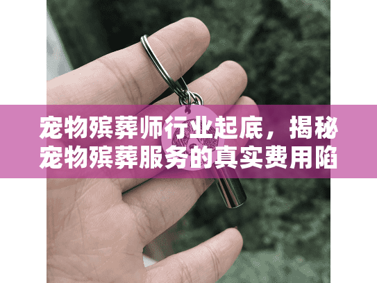 宠物殡葬师行业起底，揭秘宠物殡葬服务的真实费用陷阱