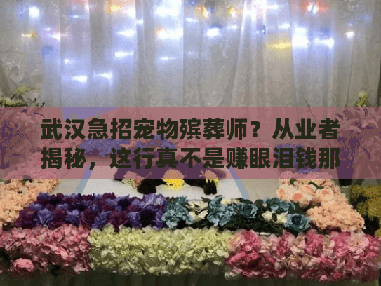 武汉急招宠物殡葬师?从业者揭秘,这行真不是赚眼泪钱那么简单 武汉急招宠物殡葬师?从业者揭秘,这行真不是赚眼泪钱那么简单